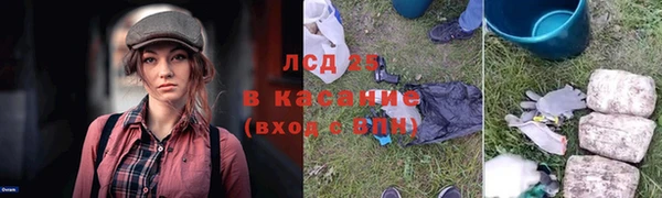 спиды Верея