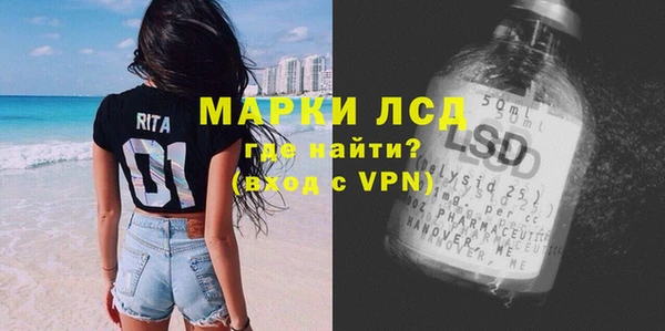 спиды Верея
