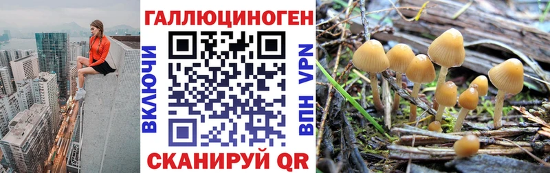 МЕГА tor  даркнет сайт  даркнет Telegram  Псилоцибиновые грибы прущие грибы  Ковылкино 