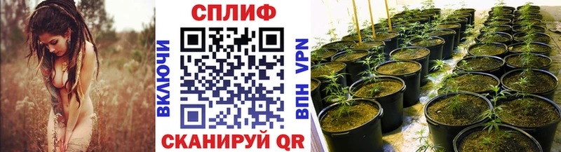 Каннабис MAZAR  площадка клад  Ковылкино  гидра как зайти 